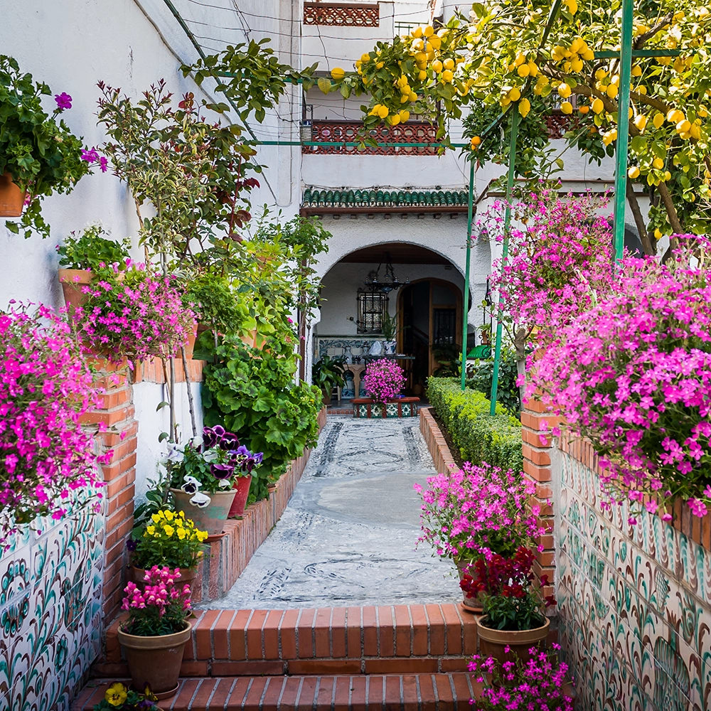 Granada_Neighborhood.webp