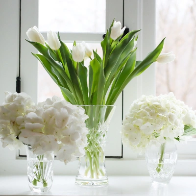 Shop Waterford Giftware