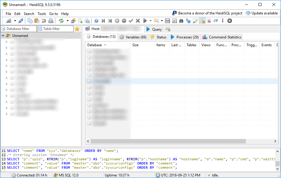 HeidiSQL Main Screen