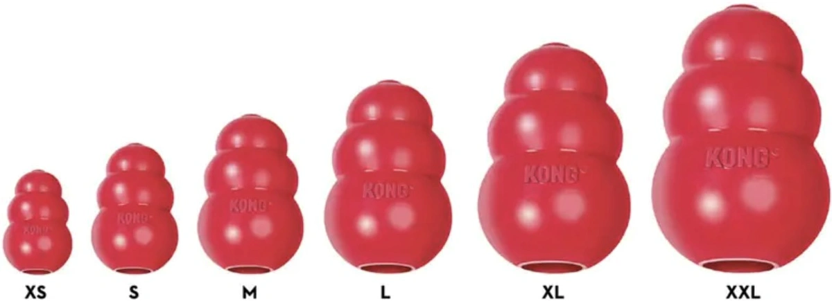 Dog Toy Kong.webp