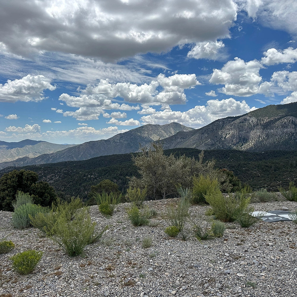 Mt-Charleston.webp