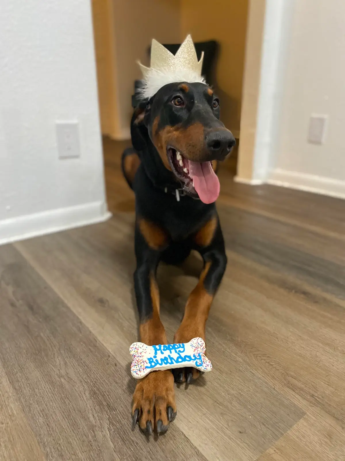 unnamed - Joseph Hess (1).webp