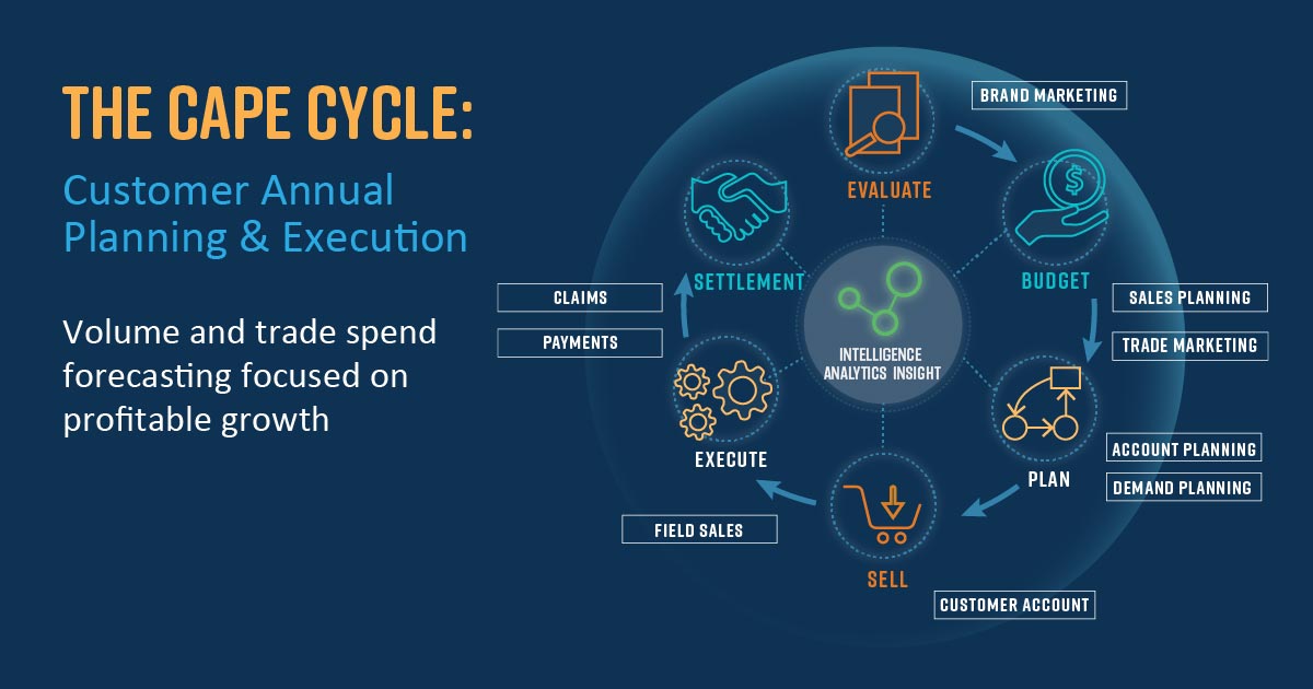 Trade Promotion - Customer Annual Planning and Execution (CAPE) cycle