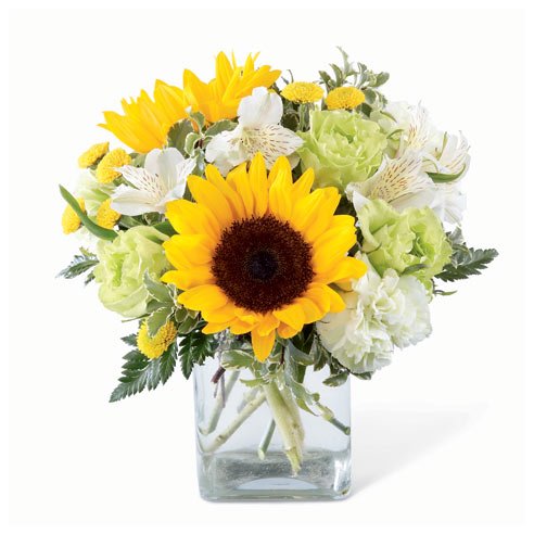 Sunflower and jade light green carnations with white alstroemeria bouquet