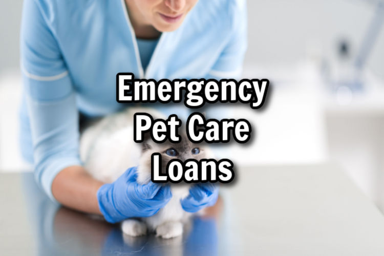 emergency pet care loans