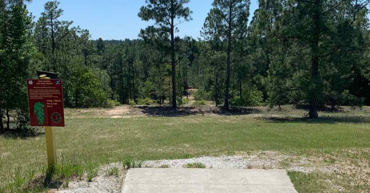 A concrete disc golf tee pad leads to mown grass and pine trees in the distance