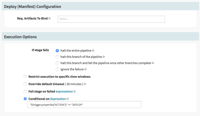 Expression Validation for Deploy Stage