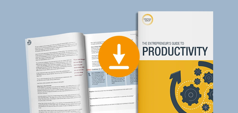 Title cover of productivity guide