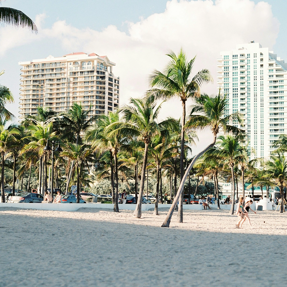 Beach with palm trees in Miami, Florida.