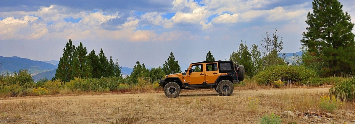 Archie Creek Road.webp