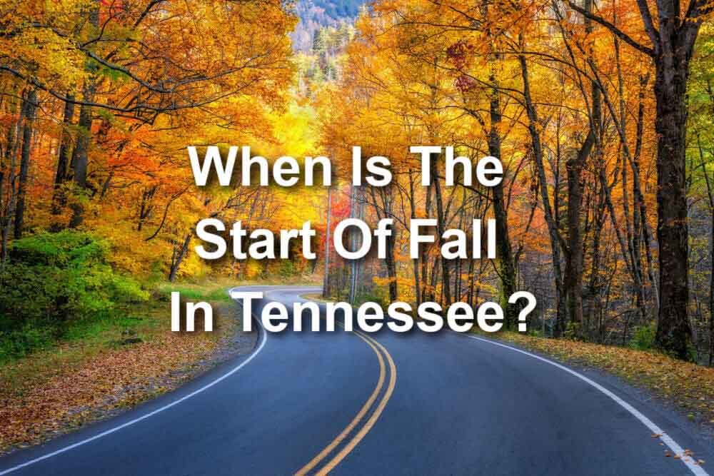 road in Tennesse at fall time