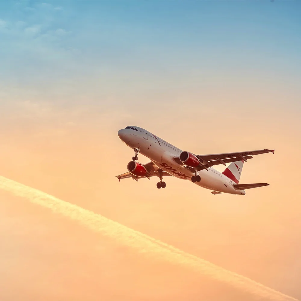 Emergency Abroad_Flight.webp