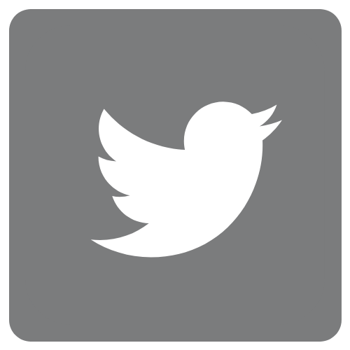 Social Media Twitter Icon