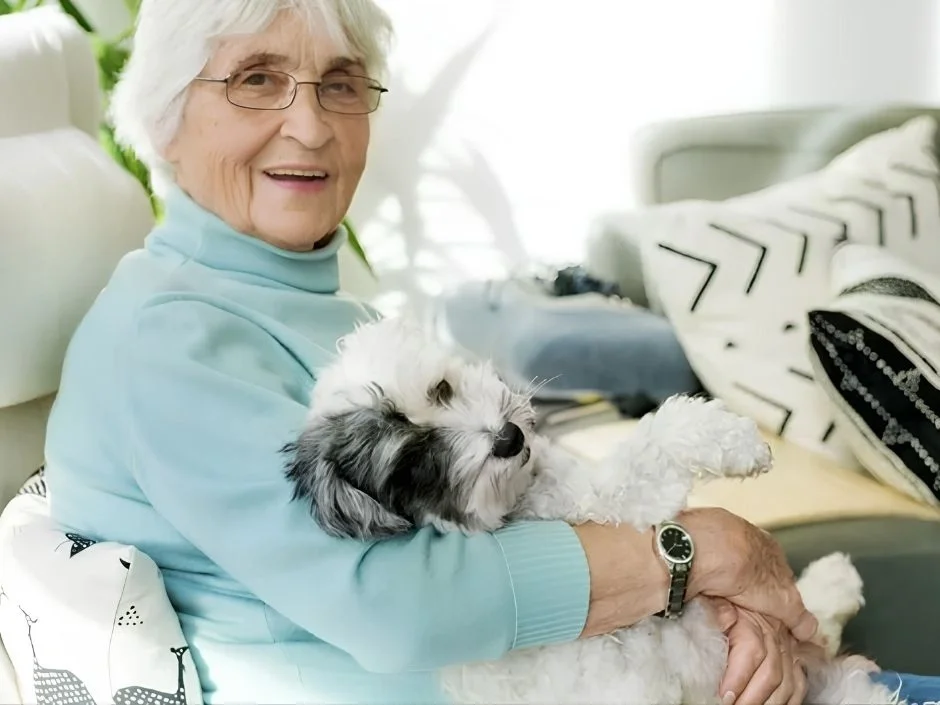 Older woman in a teal sweater smiling on a modern couch with a Havanese dog in her arms