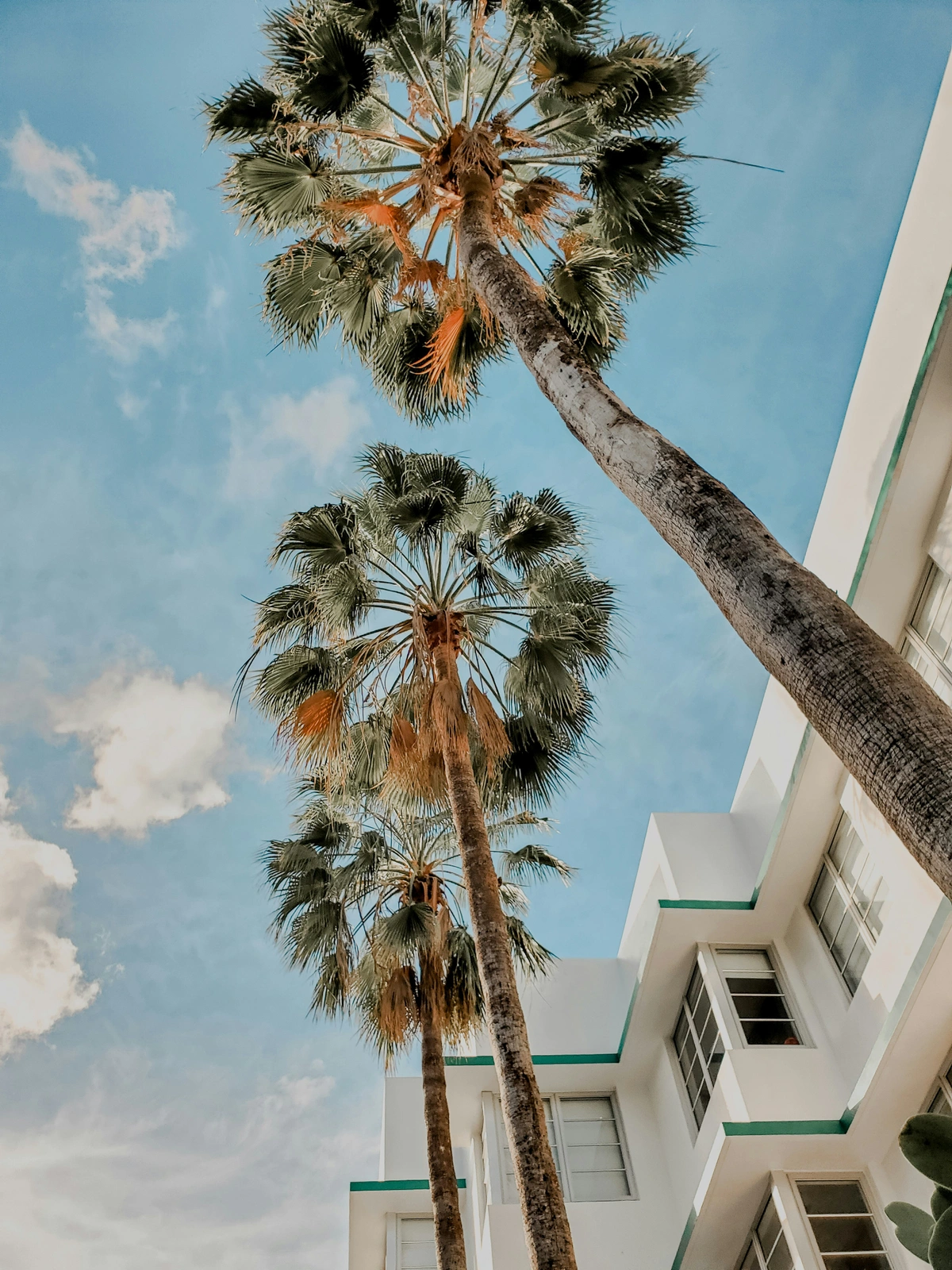 Why Form an LLC in Florida?