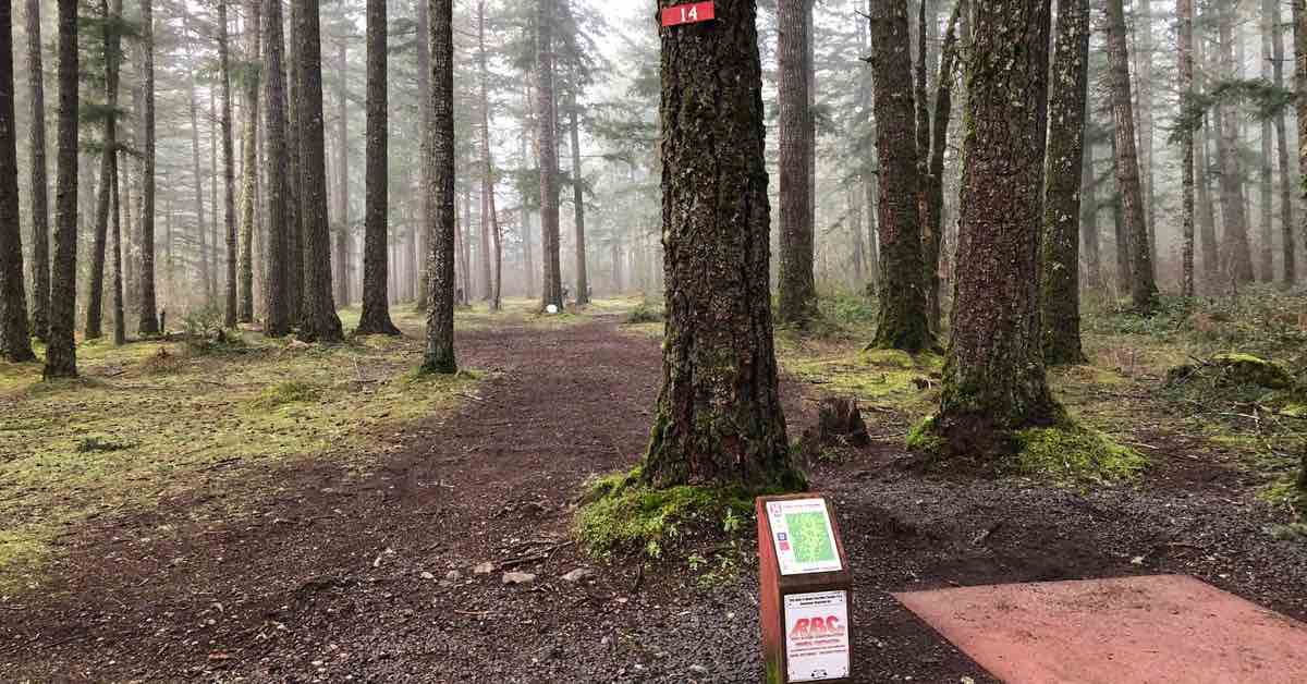 Fog in an evergreen forest and a disc golf tee pad