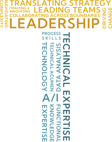 Technical skills are critically important and indispensable. Leaders need to keep these skills sharp because they represent the vertical portion of the T. The horizontal part of the T represents the leadership skills required to lead other people, strategy, change and drive innovation.