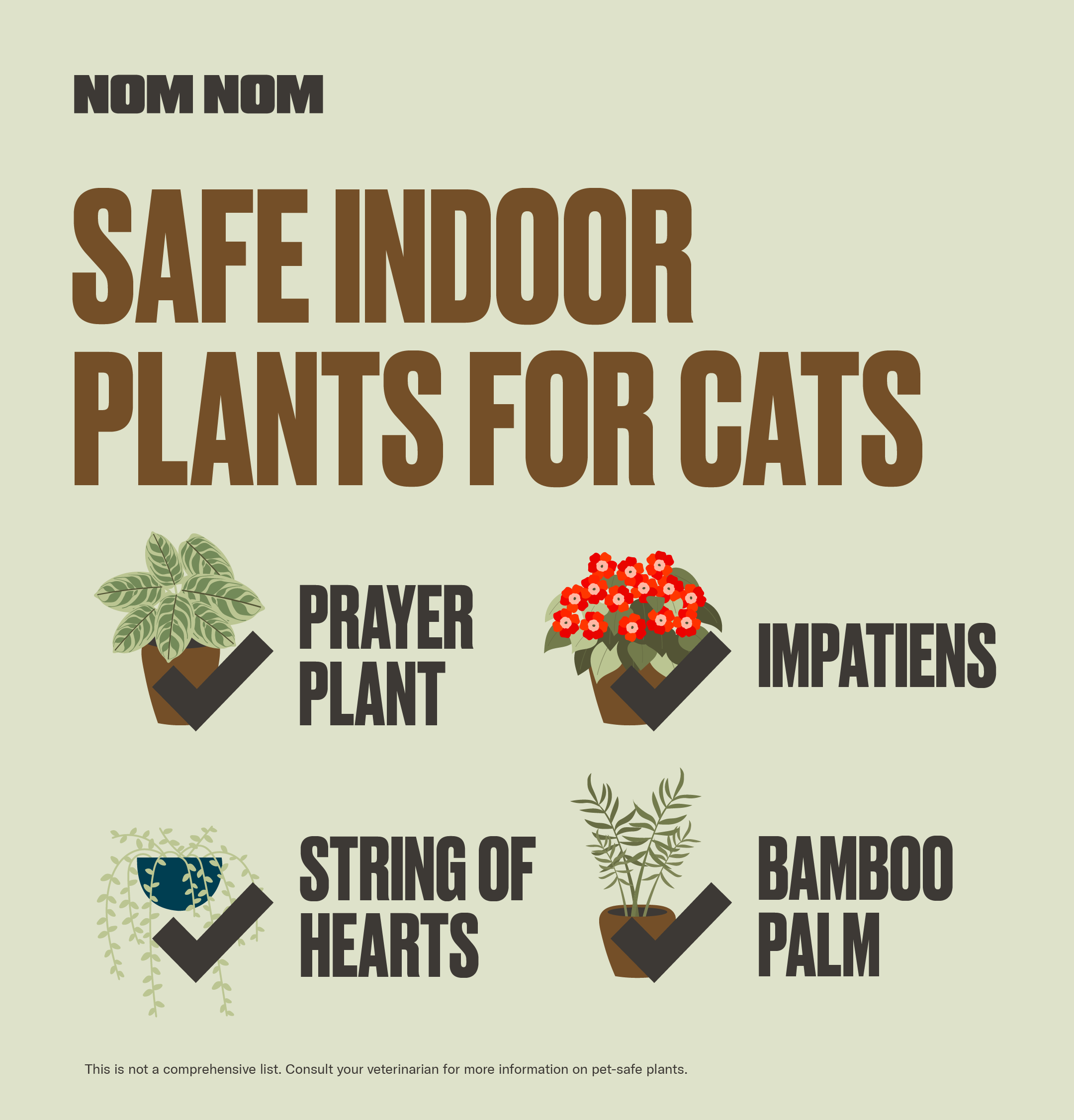 Palm plants clearance safe for cats