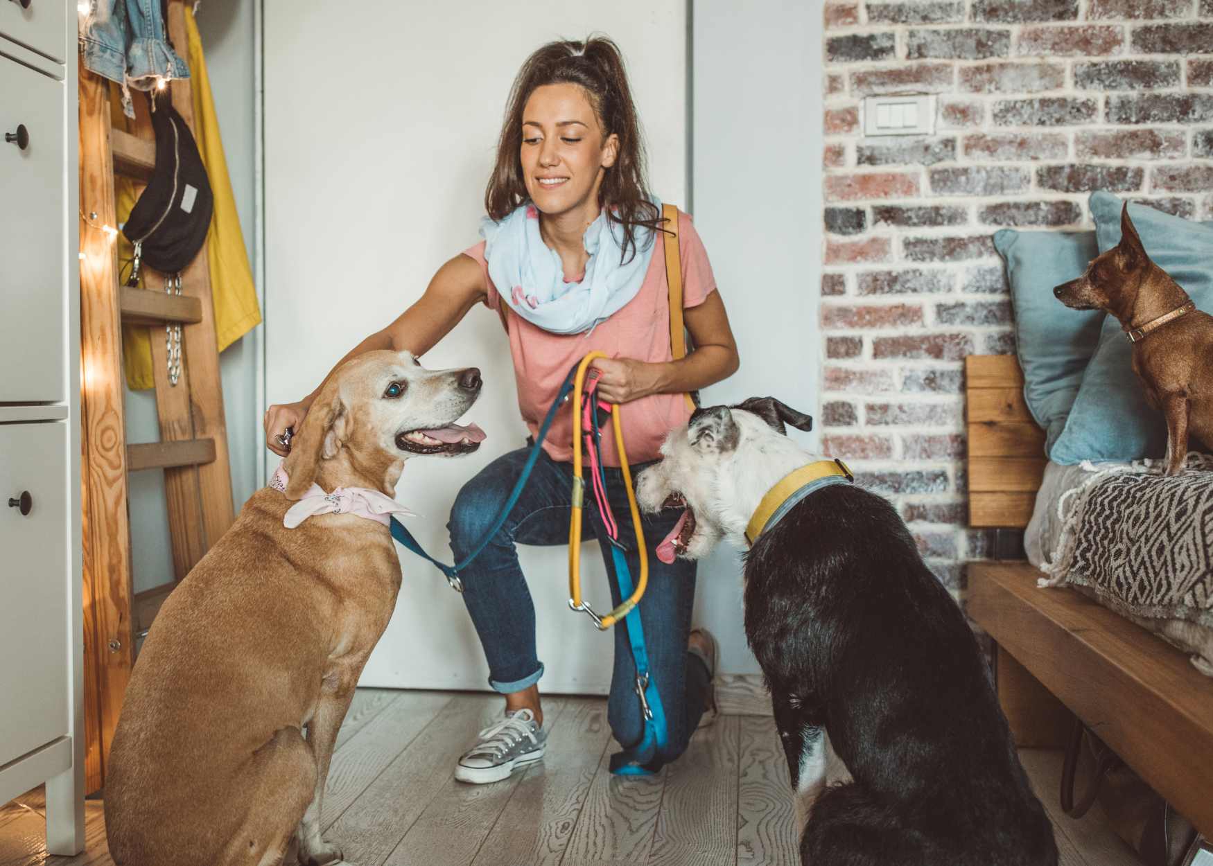 A woman pet sitter cares for three dogs