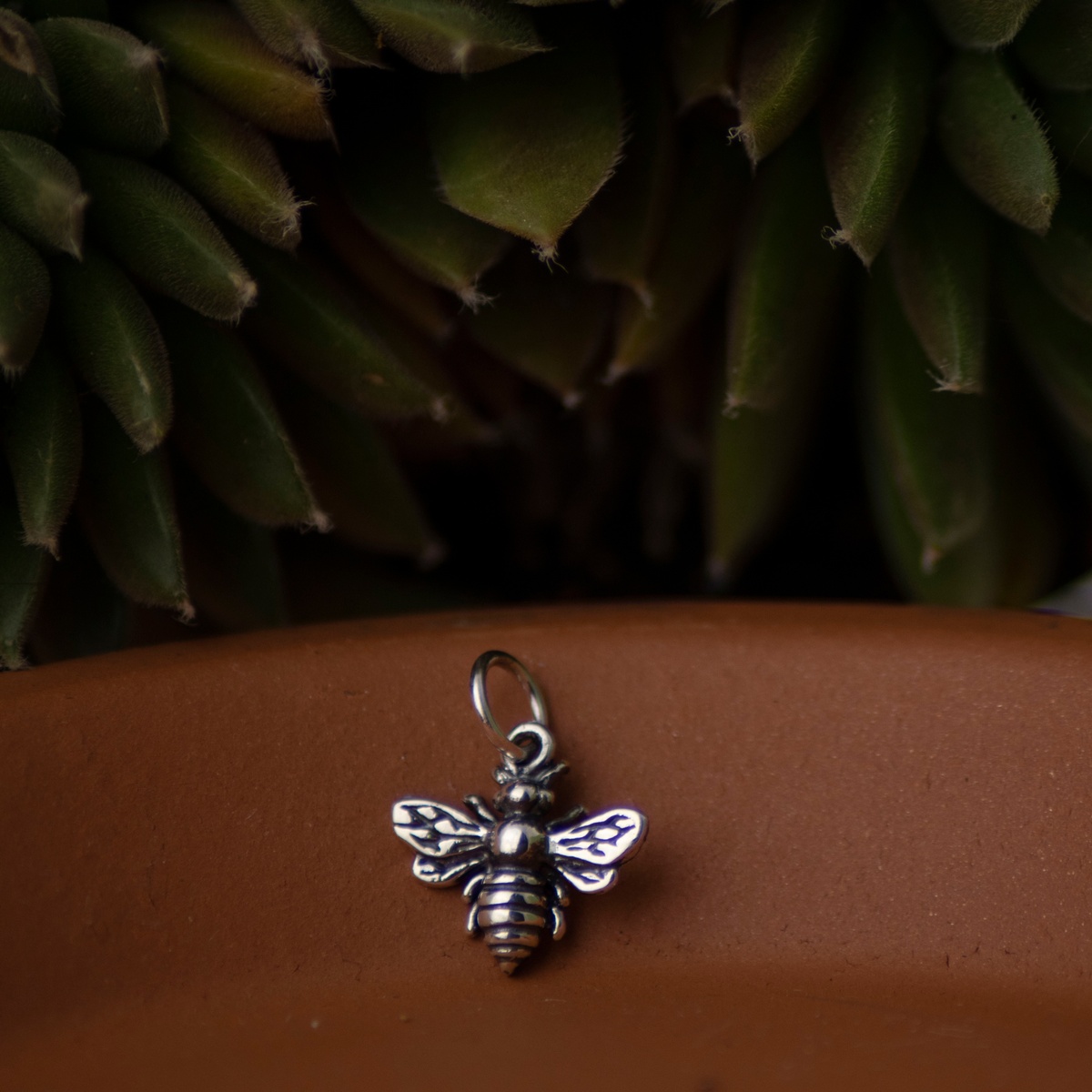 Raw image of bee charm with a succulent