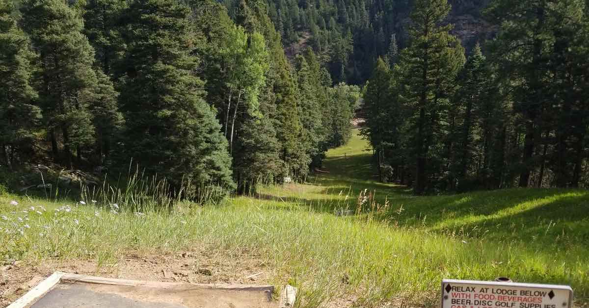 The end of a disc golf tee pad (rubber) in front of a downhill fairway lined by trees with mountains rising int he distance