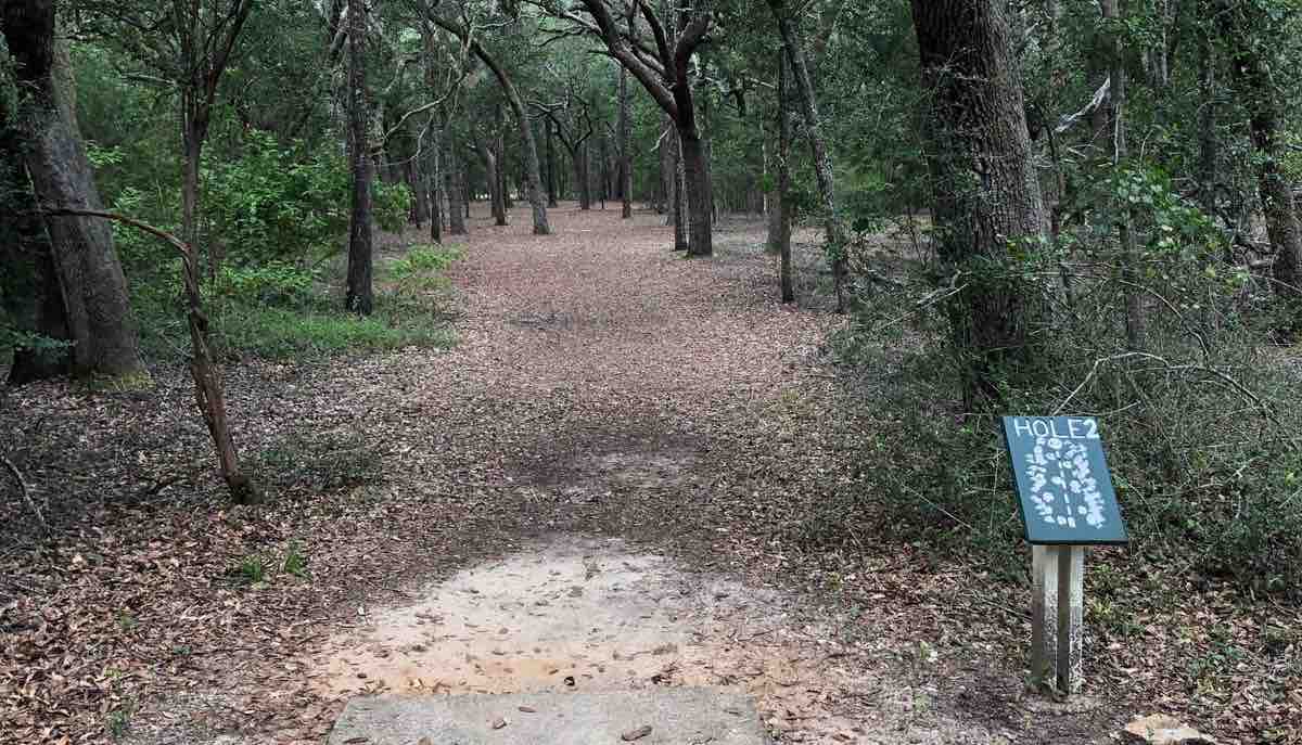 Concrete disc golf tee in flat, southern U.S. coastal forest land