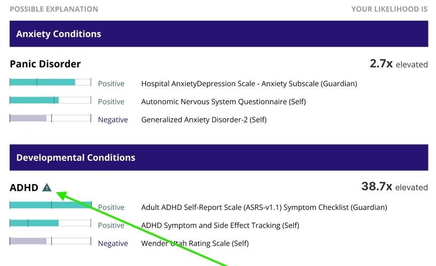 ADHD flag on summary page.webp