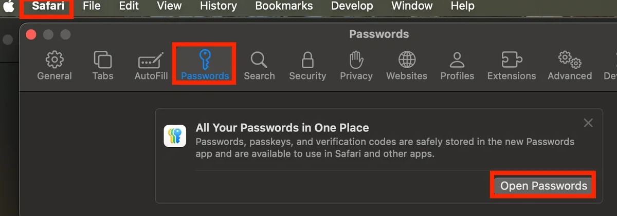 Safari browser menu with Passwords selected