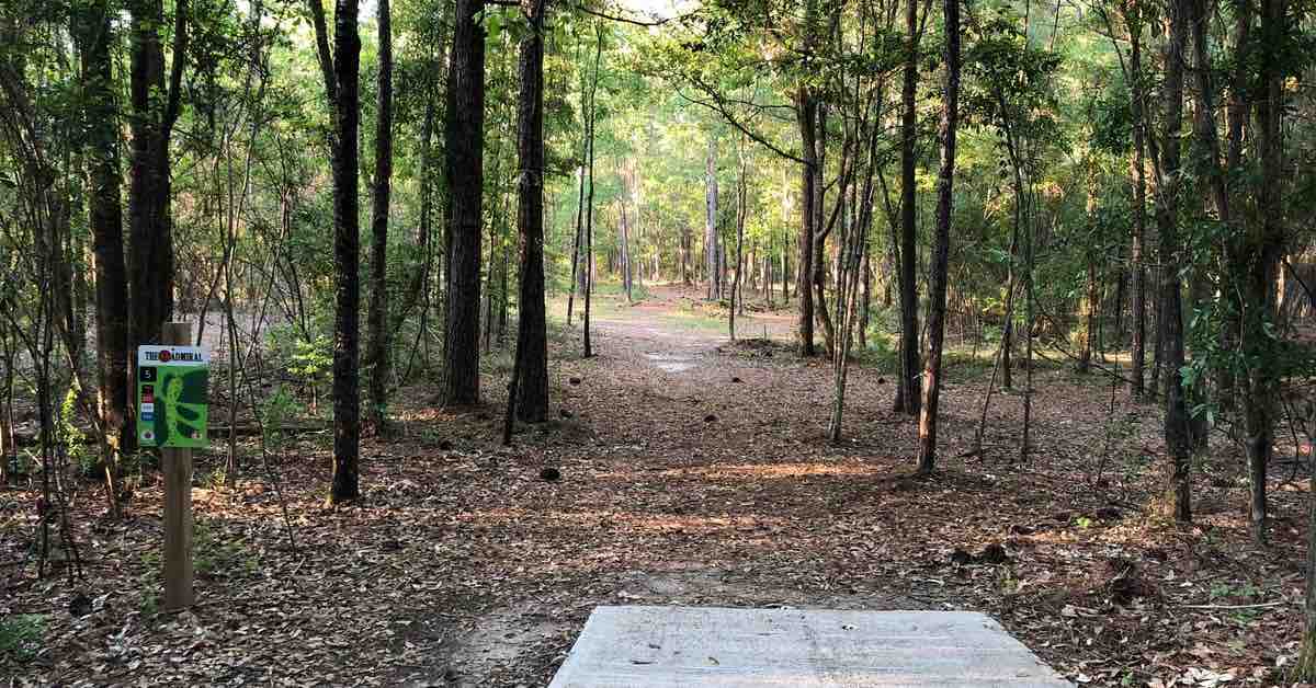 A tightly wooded disc golf fairway as seen from a concrete tee pad