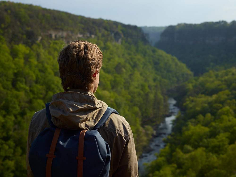 Person overlooking Little River Canyon