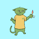 Blazed Cats