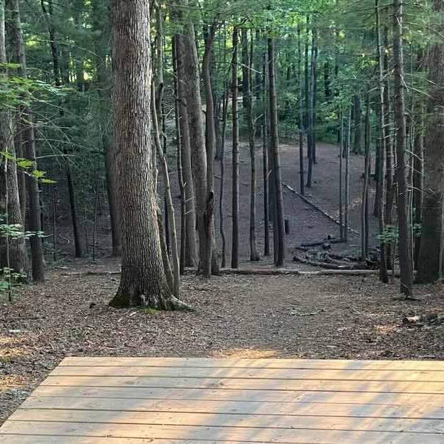 A wooden platform tee pad leads to a downhill, wooded fairway