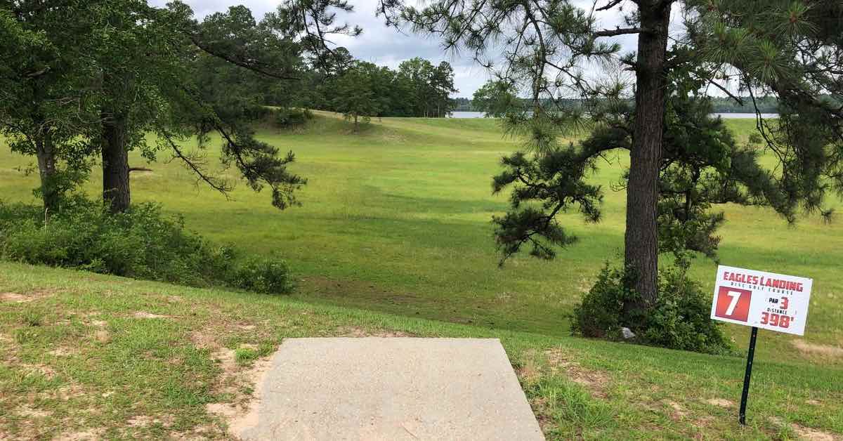 Concrete disc golf tee with a line framed by branches leading to an open, grassy area 