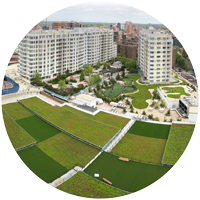 extensive green roof over parking garage in Flushing, Queens, New York with rectangles of Sedum vegetation and synthetic turf