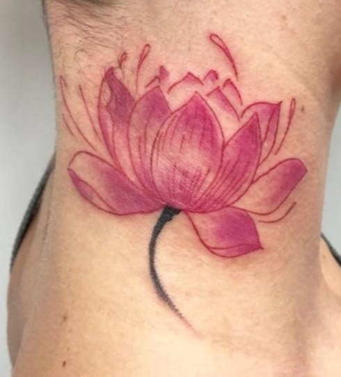 pink lotus