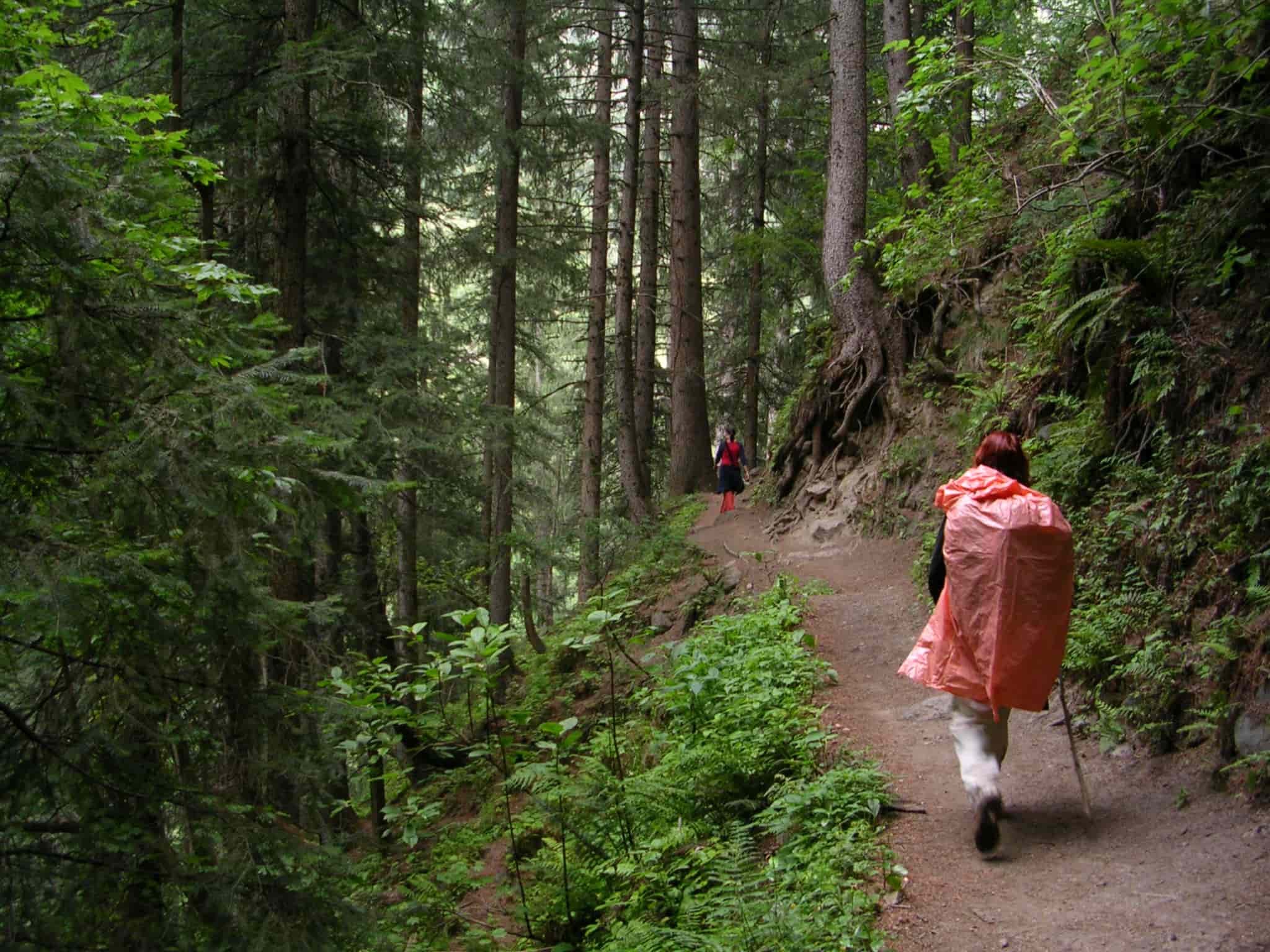 Woman walking in the forest