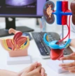 ultrassom vias urinárias, bexiga e rins, acompanhamento com urologista
