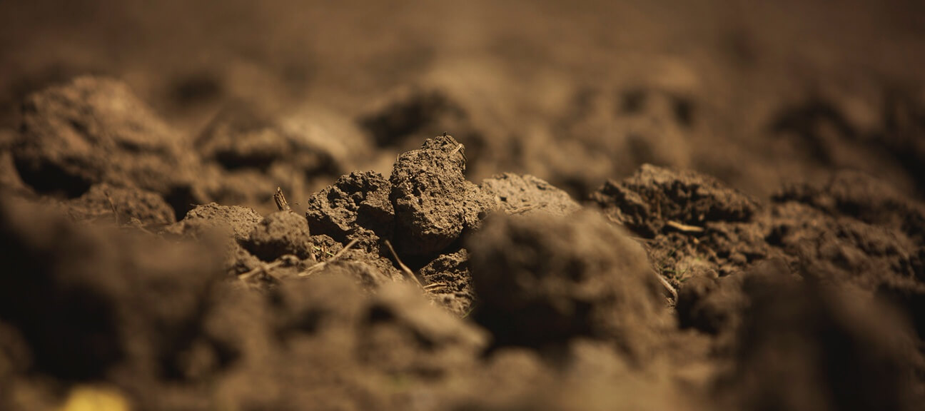 tilled soil