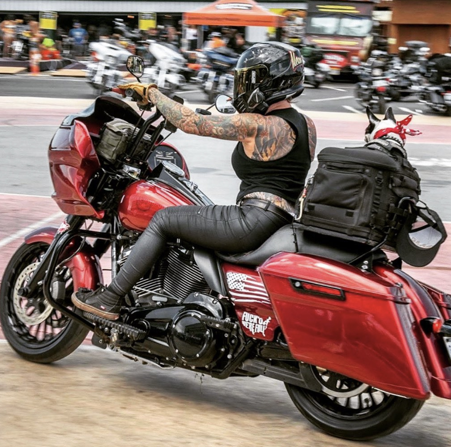 Want to Ride with Your Pet? Tips for Putting Your Dog on a Motorcycle